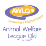 Animal-Welfare-League-1