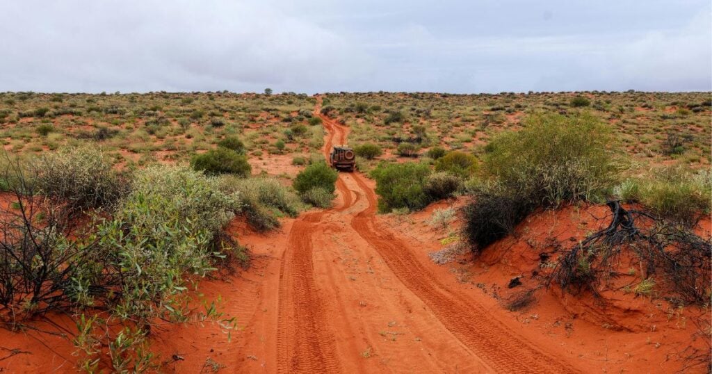Off-road vehicle driving down a red dirt track through a sparse desert landscape toward the horizon.
